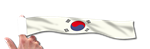 Finger-Flag, Sdkorea